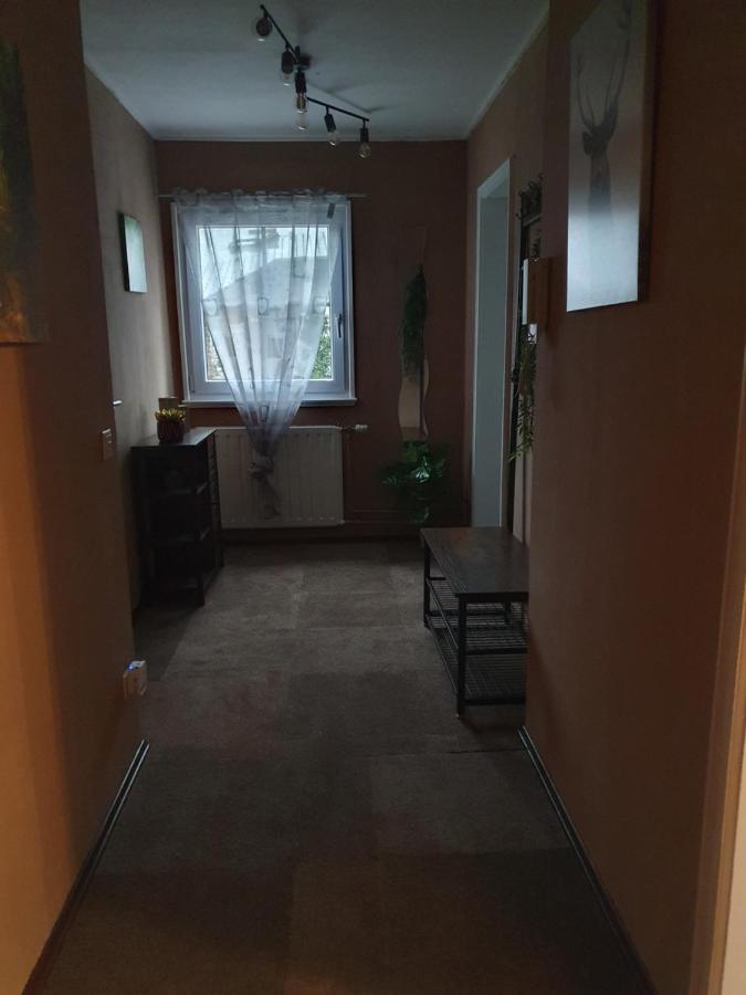 Ferienwohnung Am Siegelbaechle Mit E-Bikes Vermietung Gutach im Breisgau Exterior photo