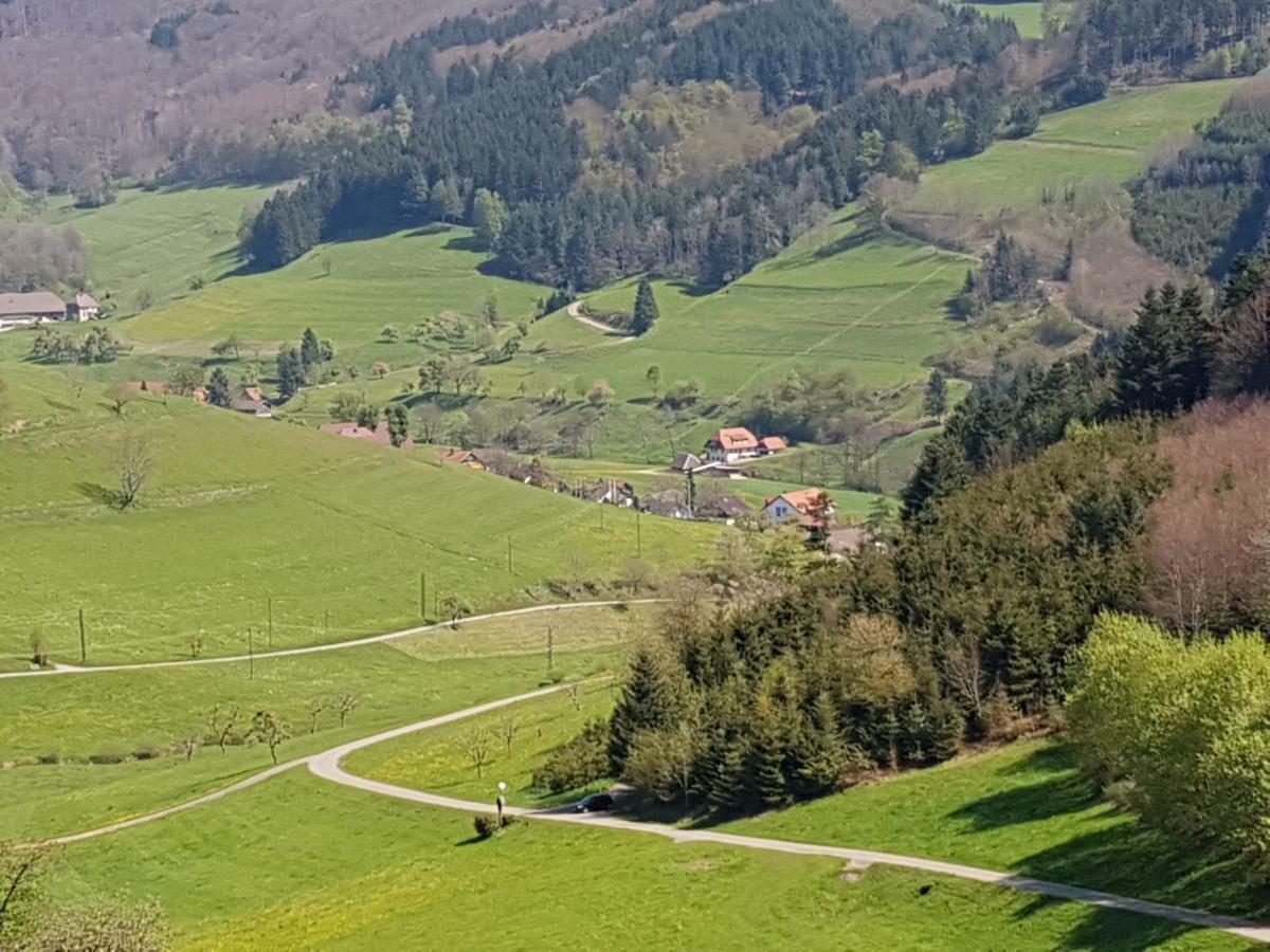 Ferienwohnung Am Siegelbaechle Mit E-Bikes Vermietung Gutach im Breisgau Exterior photo